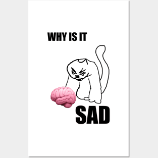 why is it sad cat Posters and Art